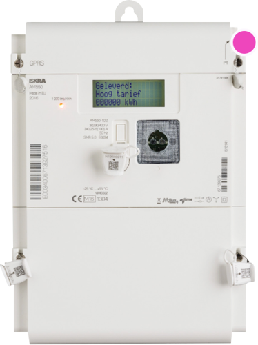 Slimme meter met gemarkeerde P1-poort