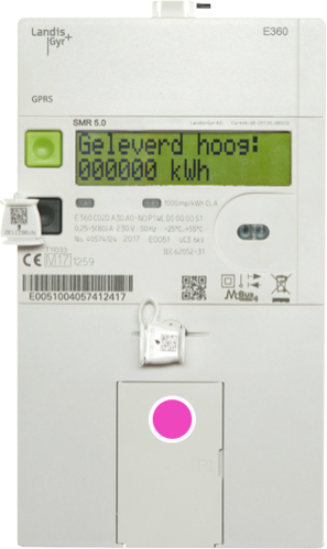 Slimme meter met gemarkeerde P1-poort