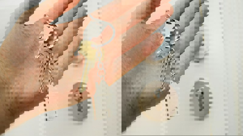 Maria Ziegler Jjnzg7vbfms Unsplash