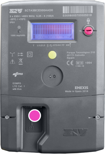 Slimme meter met gemarkeerde P1-poort